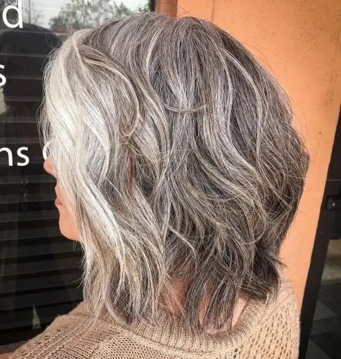 Shaggy Gray Lob