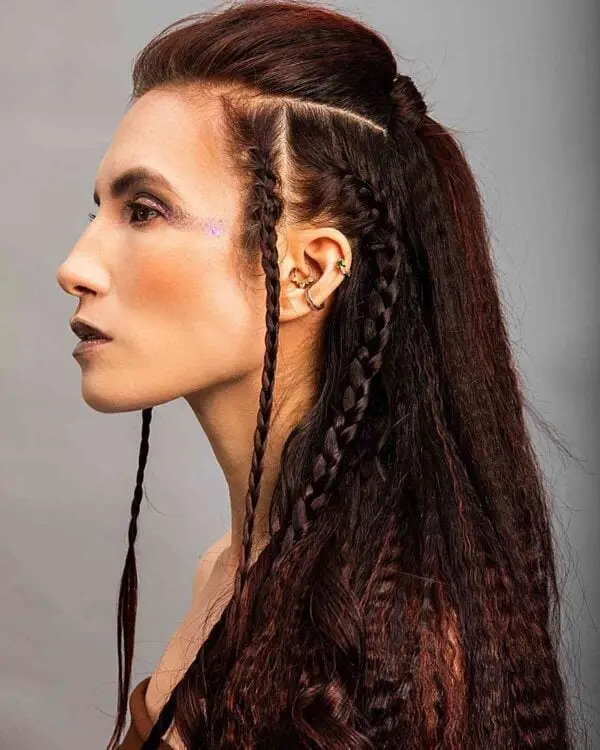 Viking Half Upstyle with Small Braids