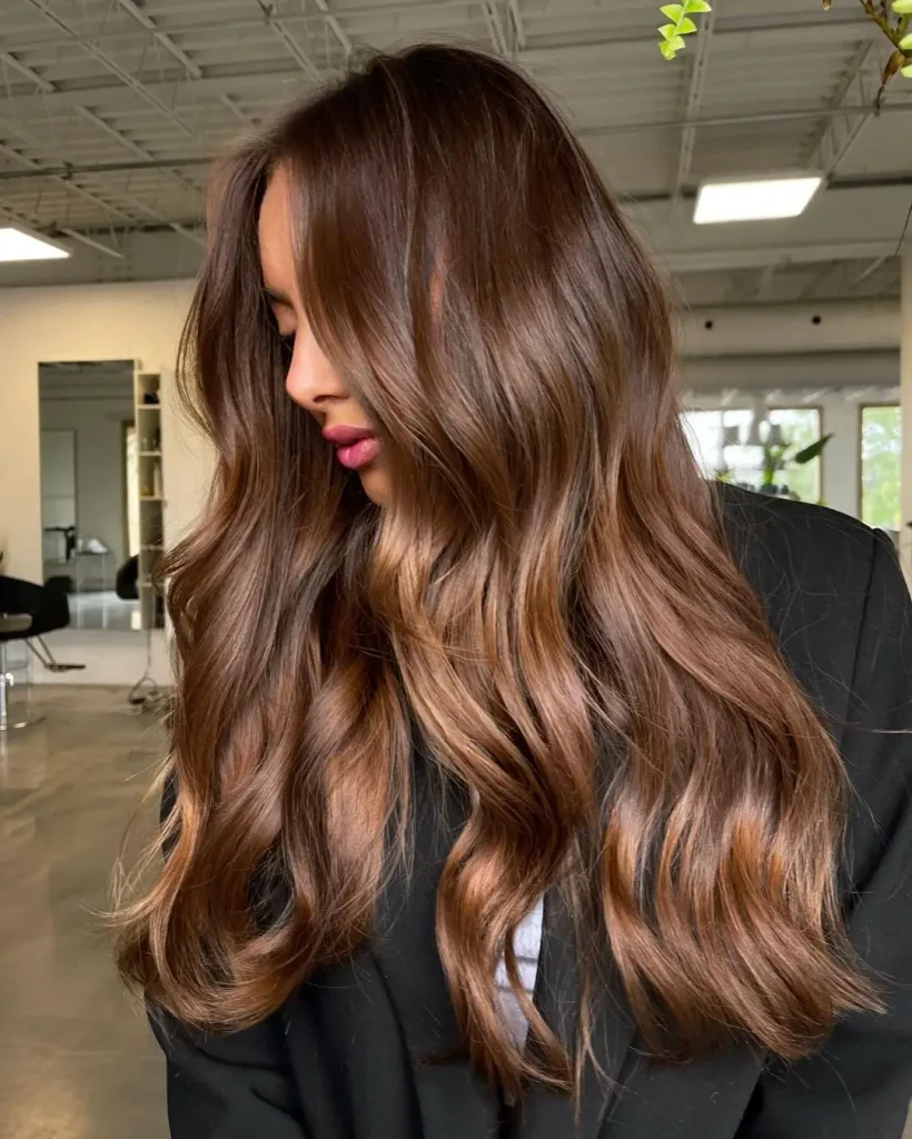 Shiny Chocolate Brown Hair
