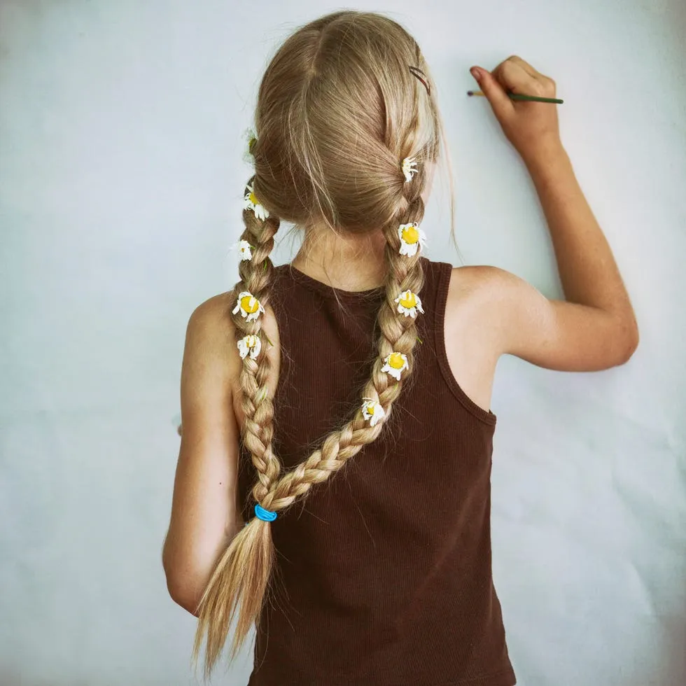 Double Braid Easy Hairstyle