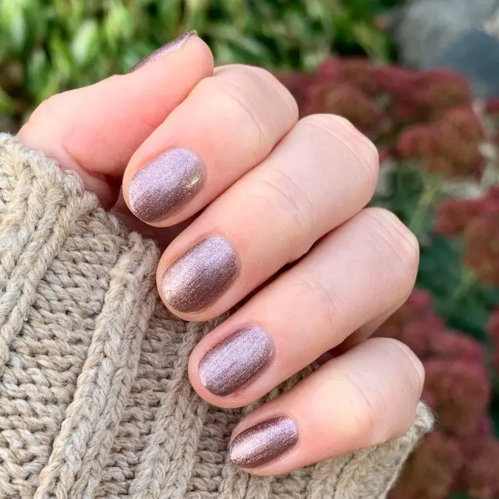 14. Metallic Bronze Short Fall Nail Inspo
