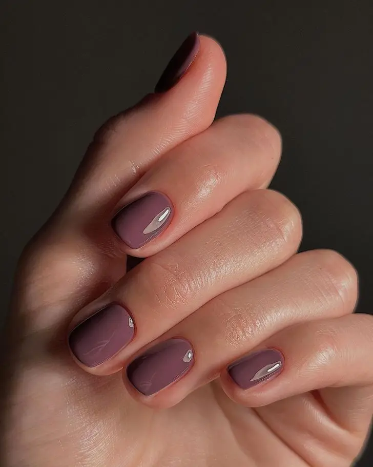 22. Muted Purple Simple Autumn Nails