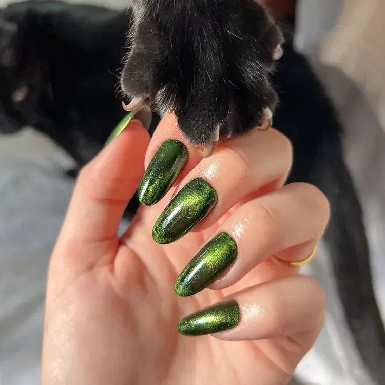 29. Villainous Green Velvet Nails