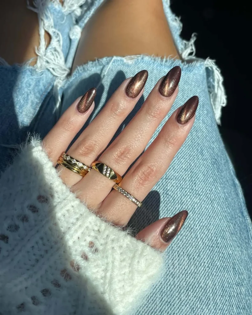 6. Velvet Brown Cat Eye Nails