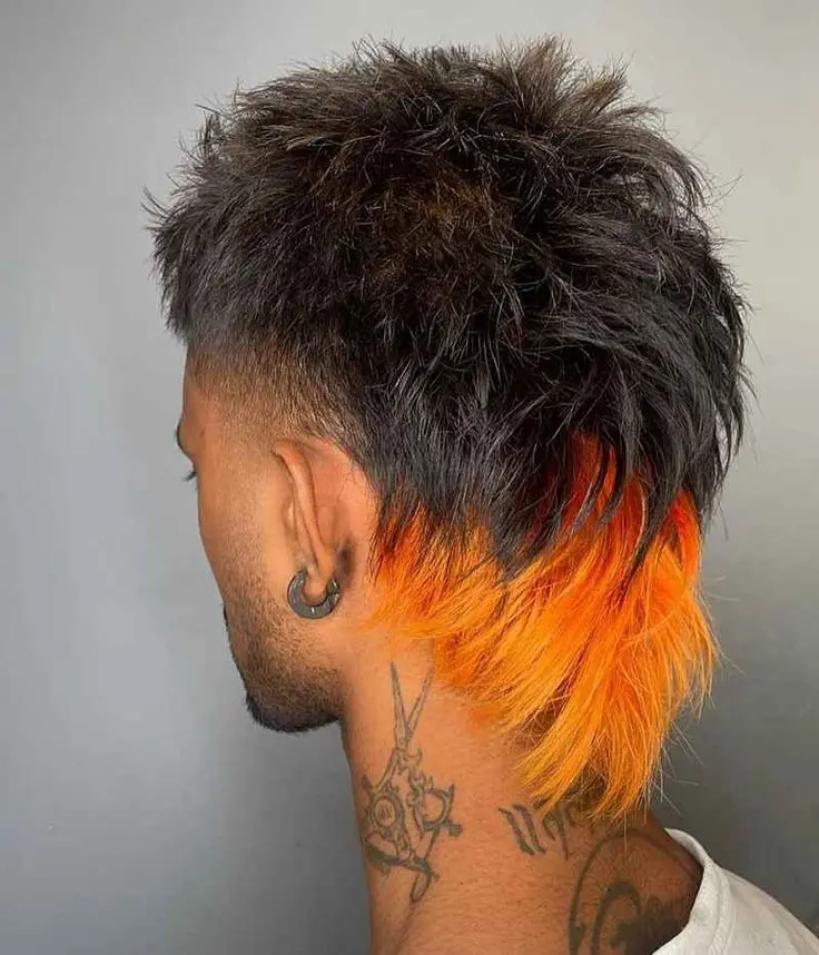 Colored Mullet