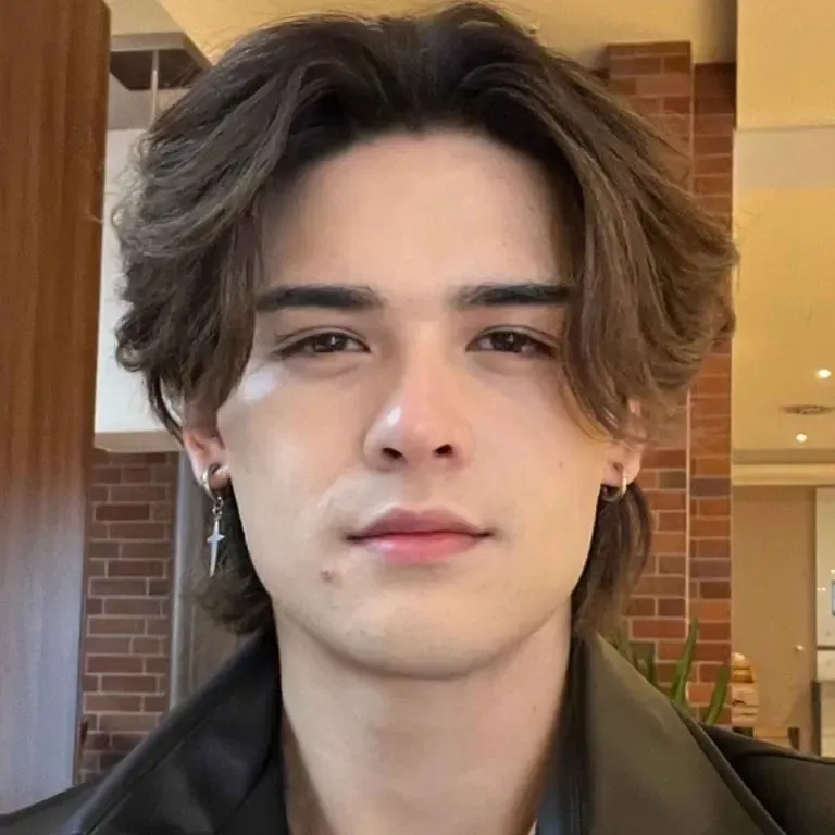 Korean Wolf Cut on Brown Hair