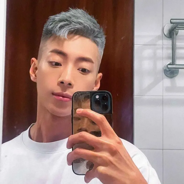 Short Korean Hairstyle With Undercut With Grey Hair