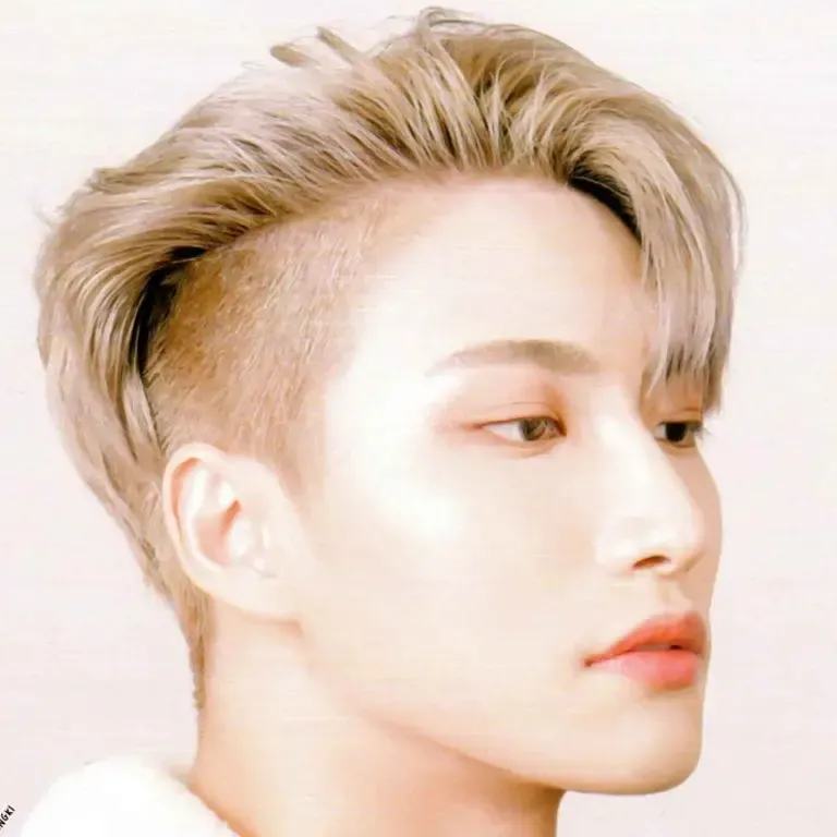 Korean Style Blonde Disconnected Undercut