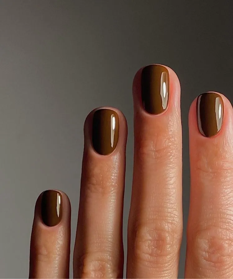 2. Chocolate Brown
